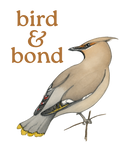 Coming Soon - Bird & Bond collection