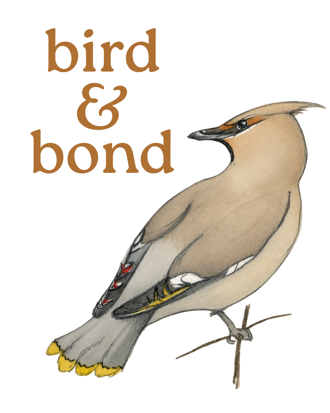Coming Soon - Bird & Bond collection