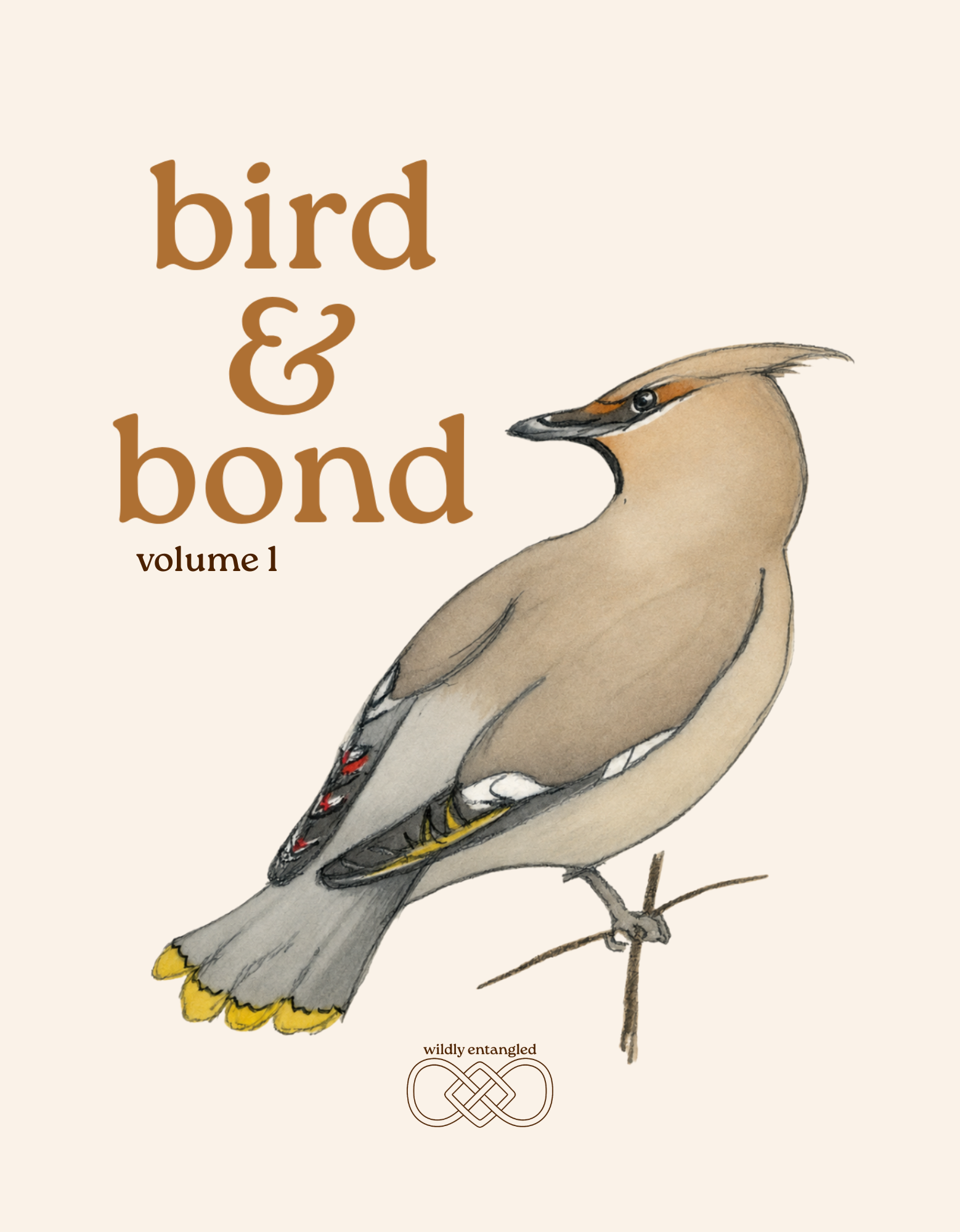 bird & bond - digital download