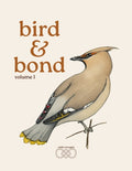 Book Cover Variant Thumbnail