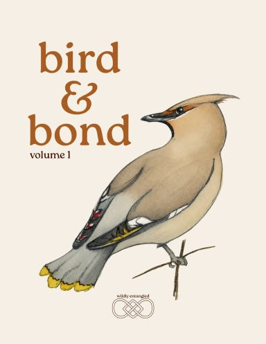 Book Cover Variant Thumbnail